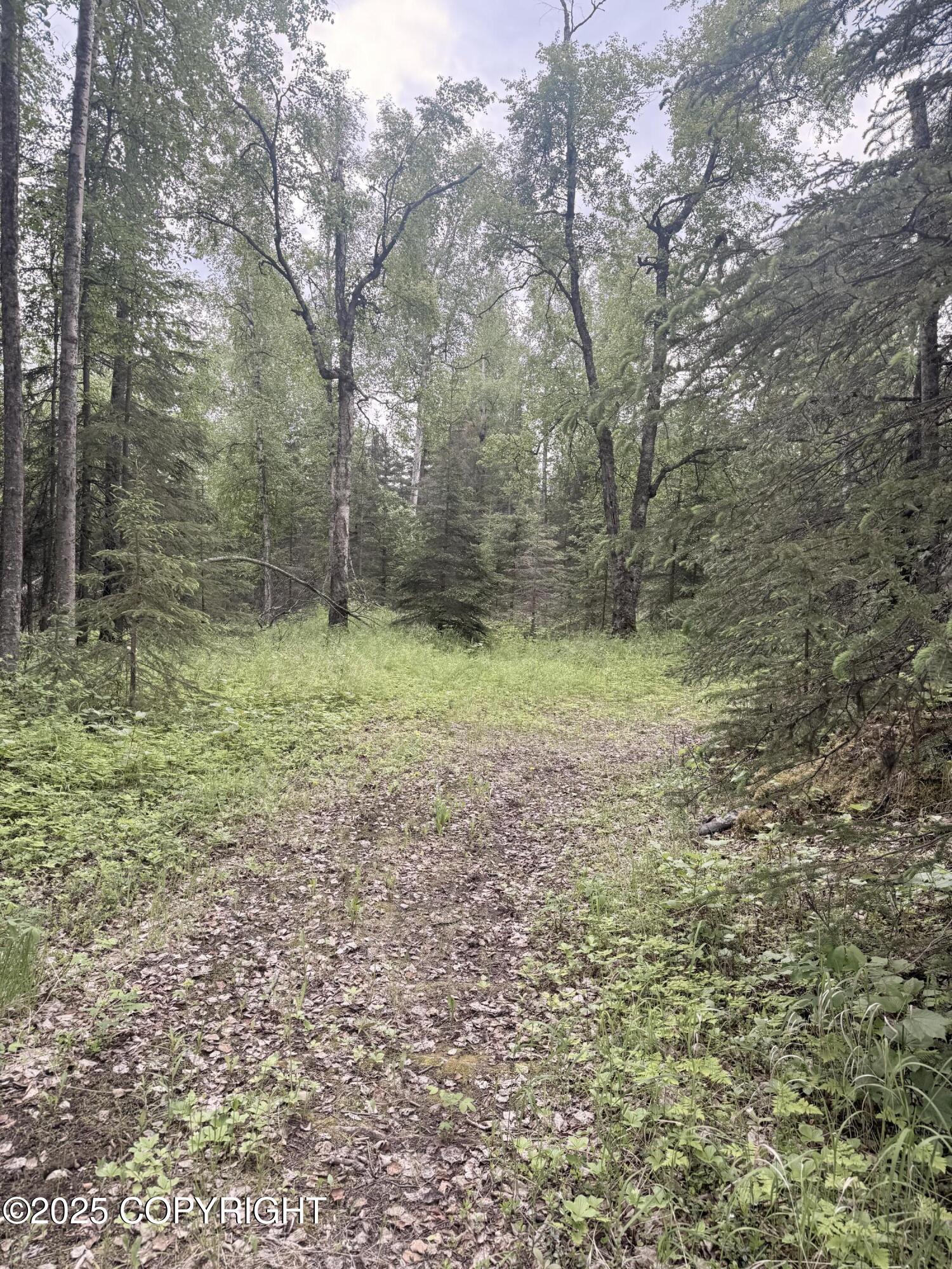 A017 S Blarney Circle, Wasilla, Alaska image 2