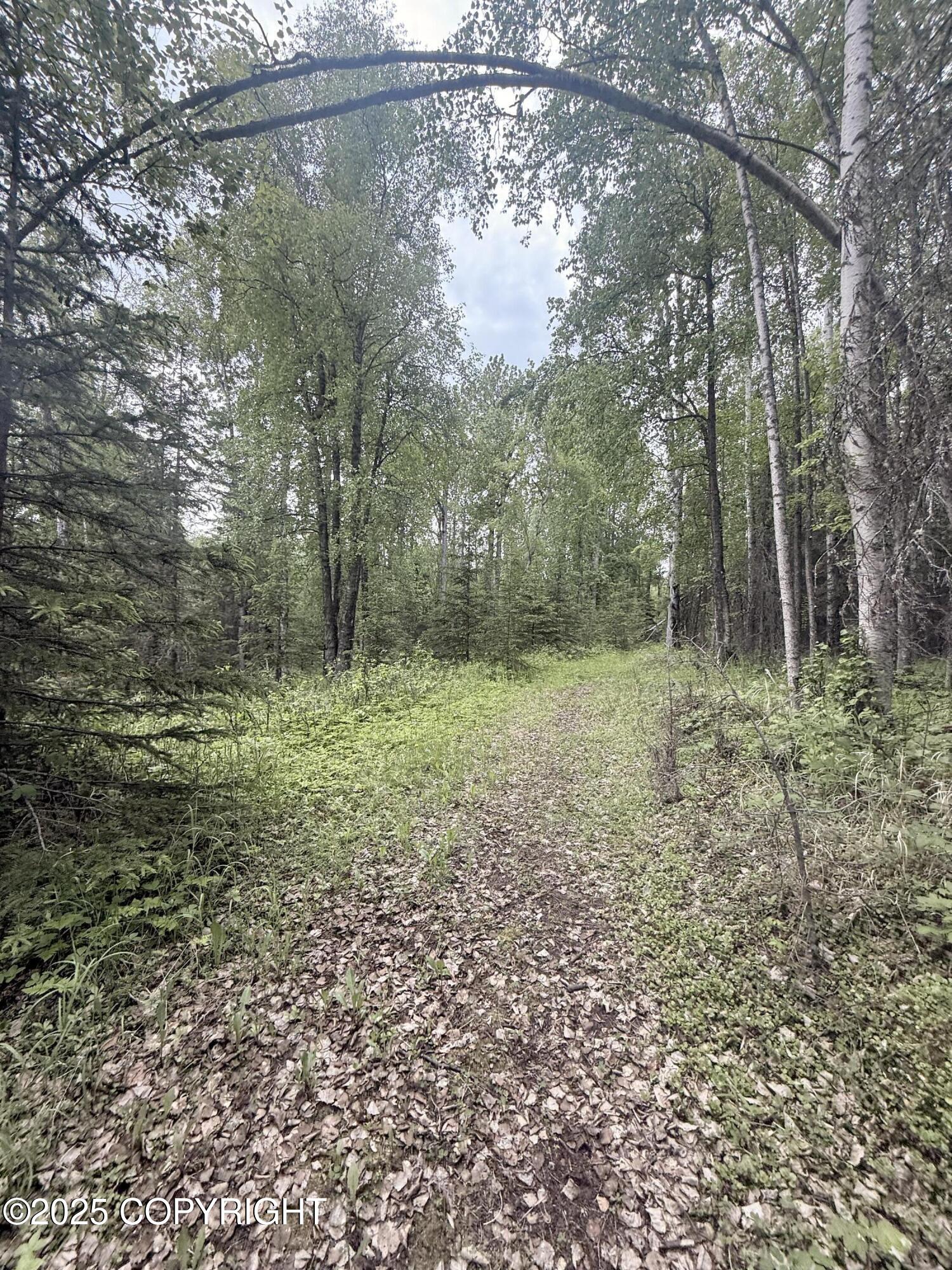A017 S Blarney Circle, Wasilla, Alaska image 4