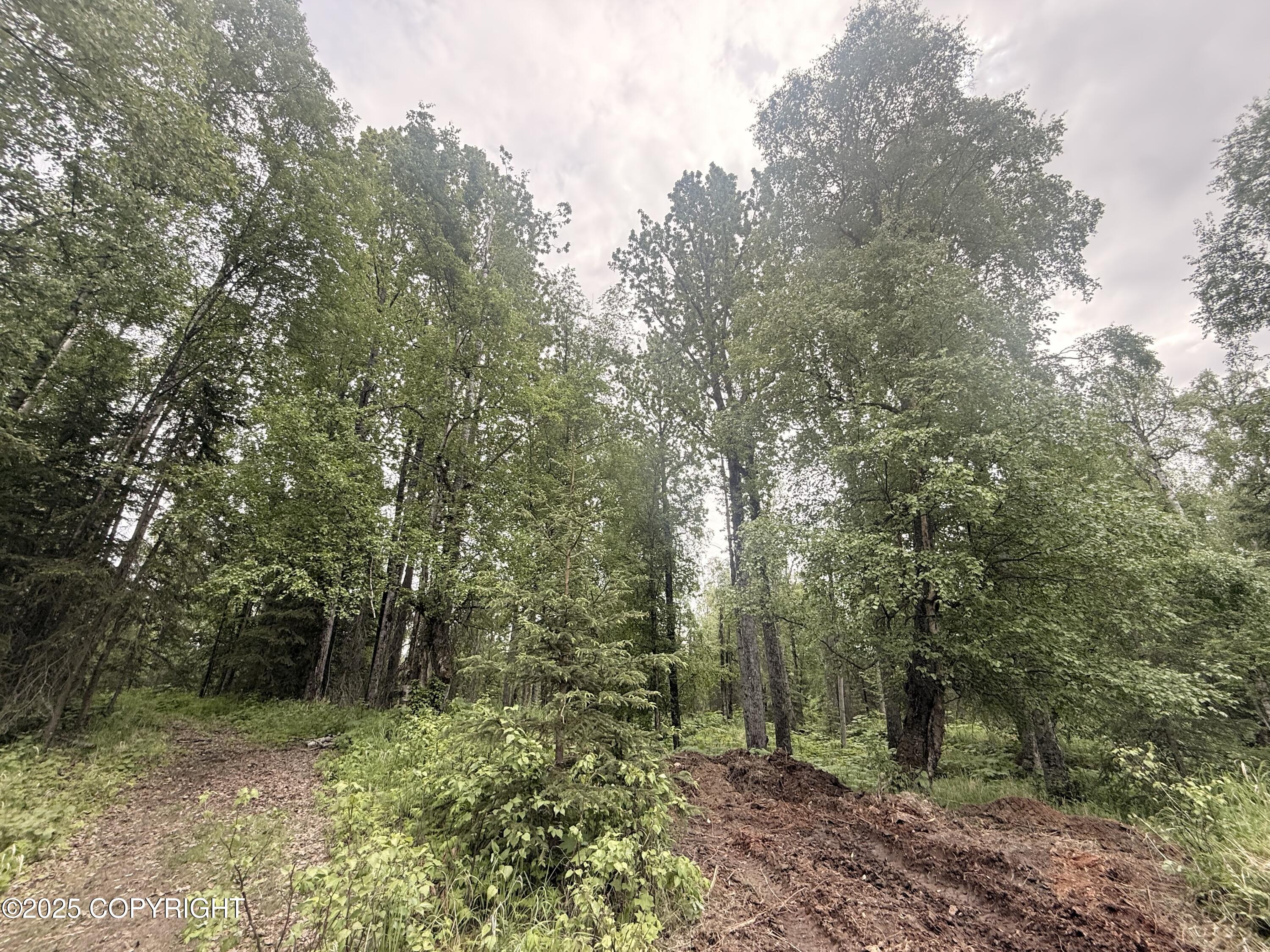 A017 S Blarney Circle, Wasilla, Alaska image 5