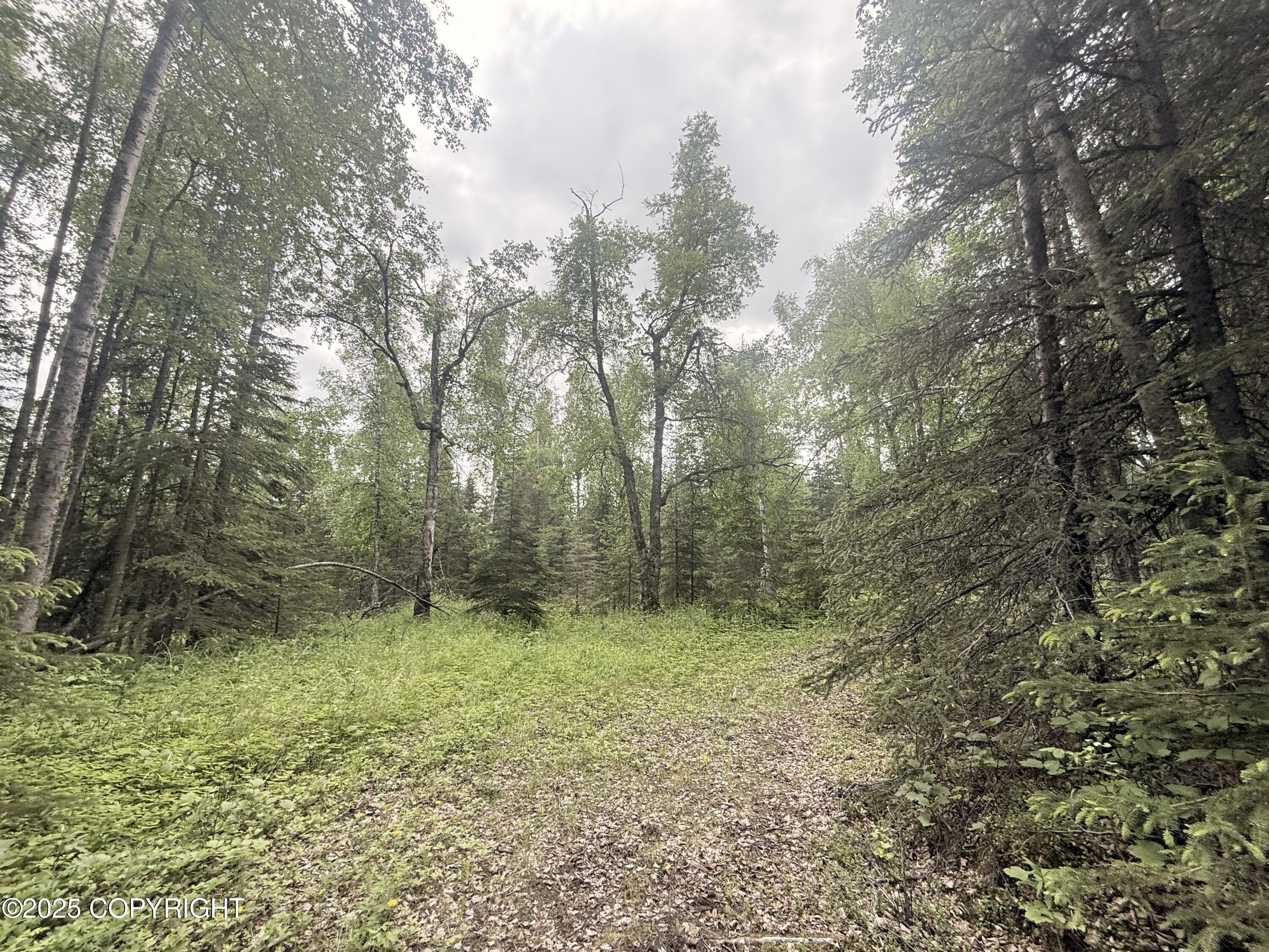 A017 S Blarney Circle, Wasilla, Alaska image 3