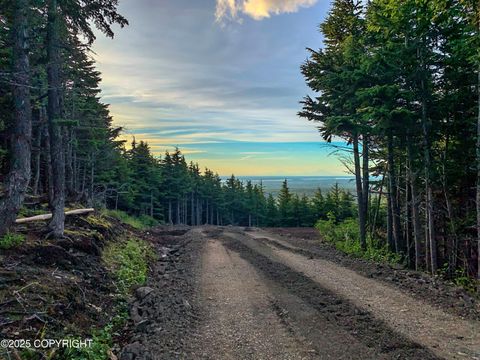 Vacant Land For Sale - L1 Paine Circle<br/> Anchorage, AK 99516