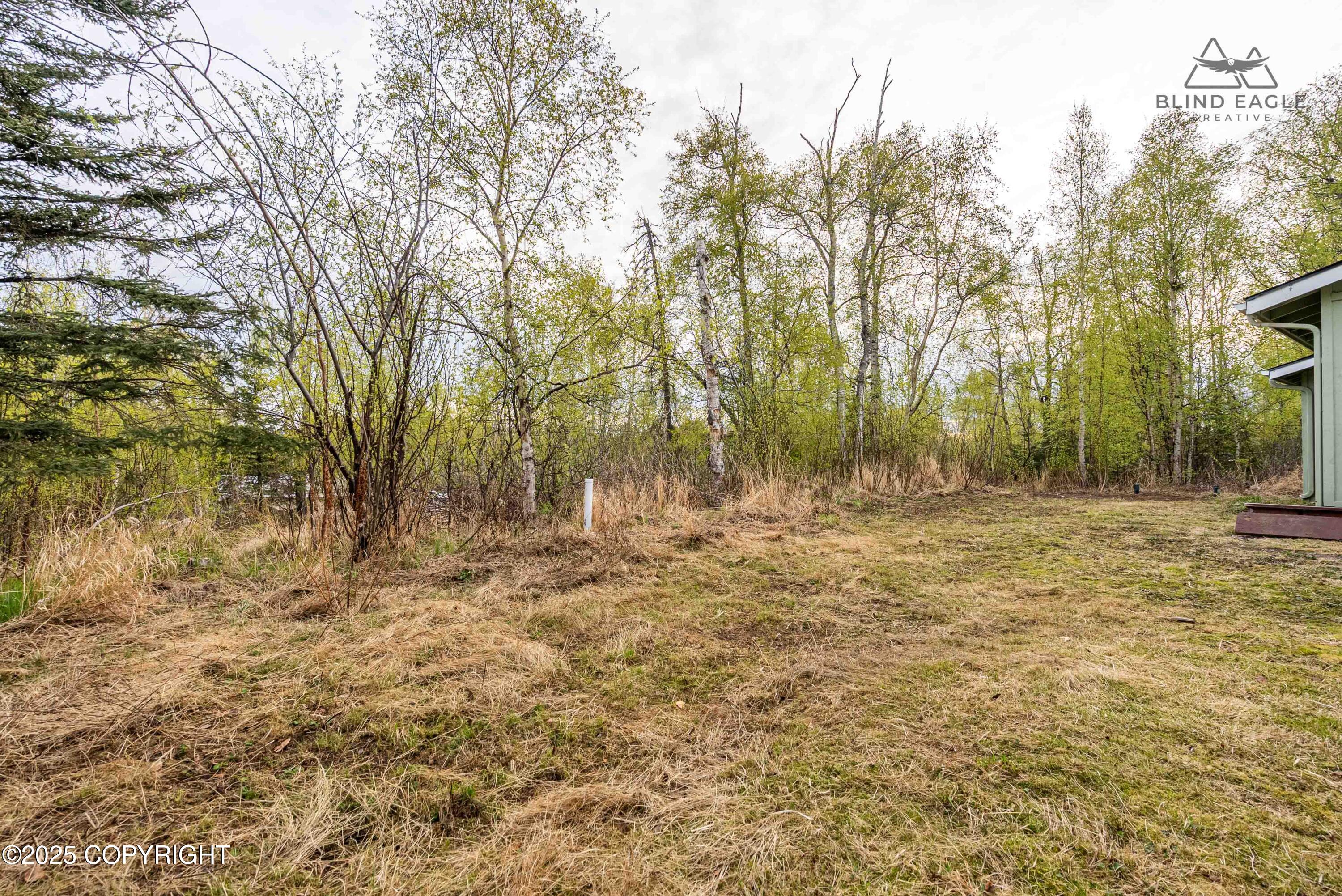 5441 Crestview Avenue, Wasilla, Alaska image 26