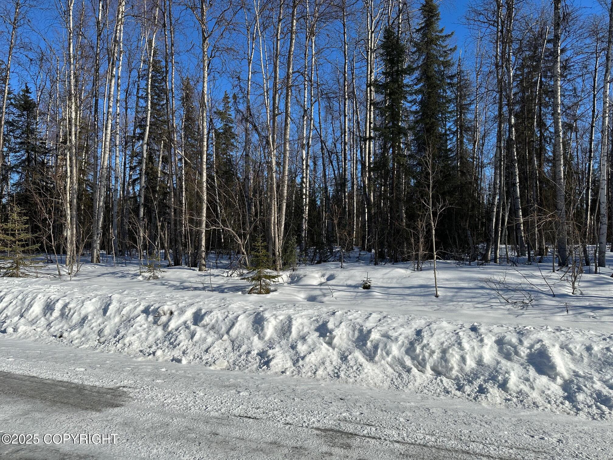 25842 W Southlake Dr Dr, Willow, Alaska image 1