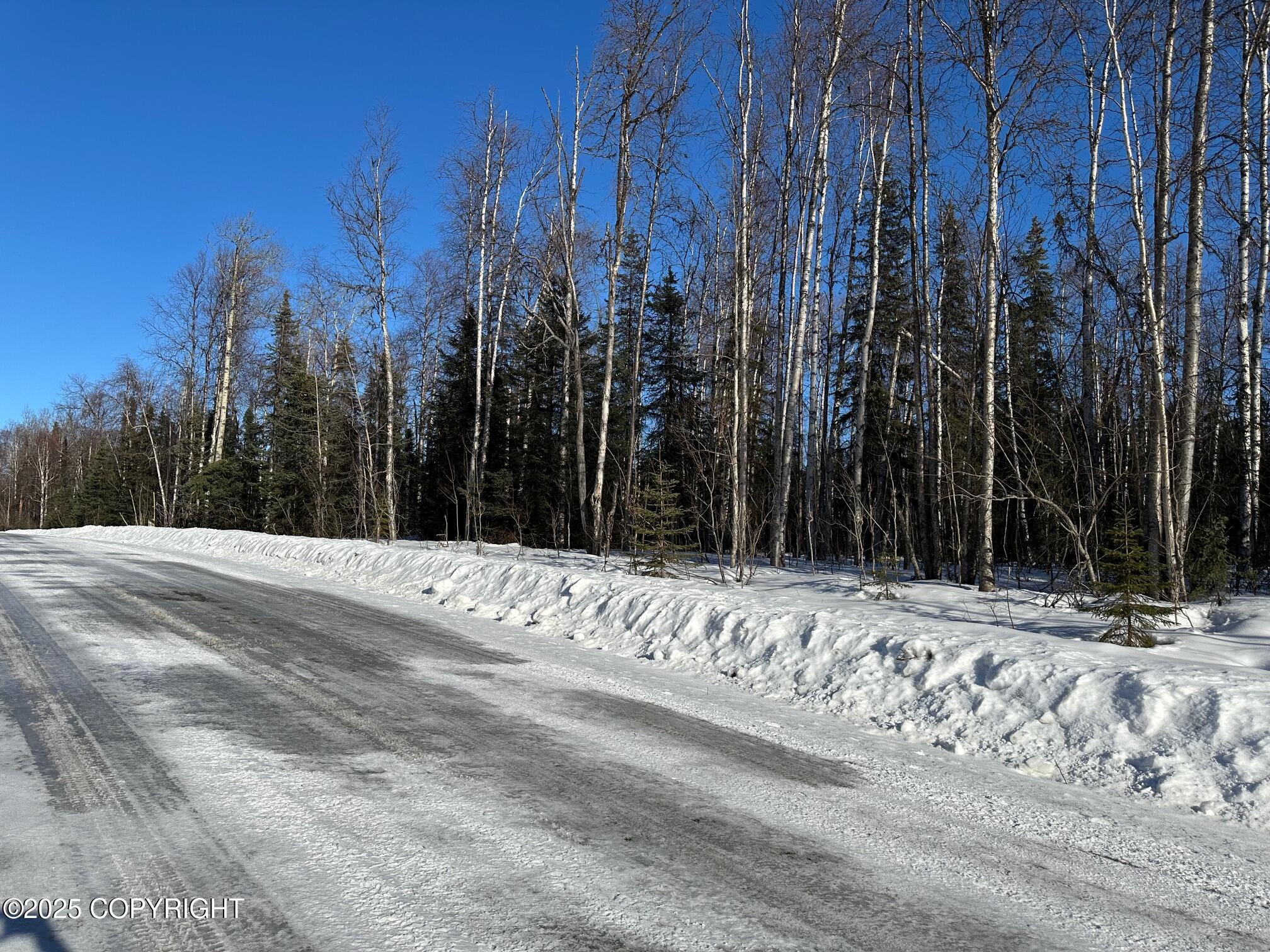 25842 W Southlake Dr Dr, Willow, Alaska image 2