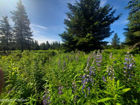 Vacant Land For Sale - 17502 Chefornak Street<br/> Ninilchik, AK 99639