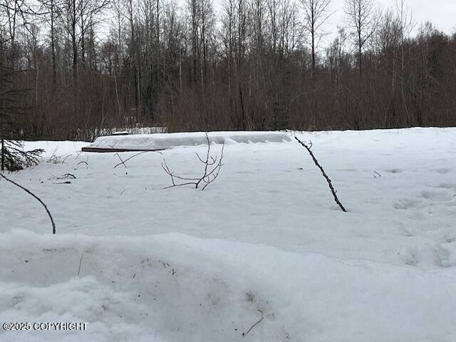 24018 W Wade Drive, Willow, Alaska image 2