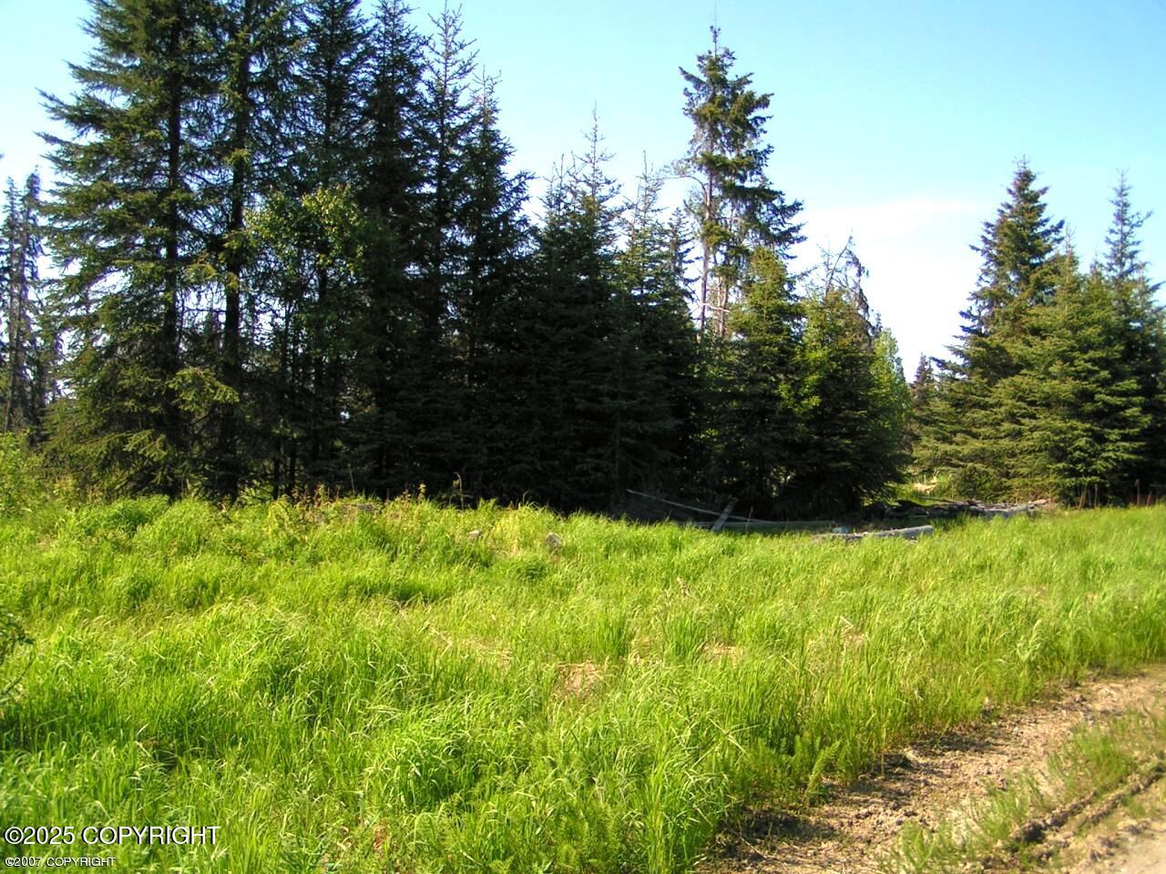 65359 Corabin Road, Anchor Point, Alaska image 2