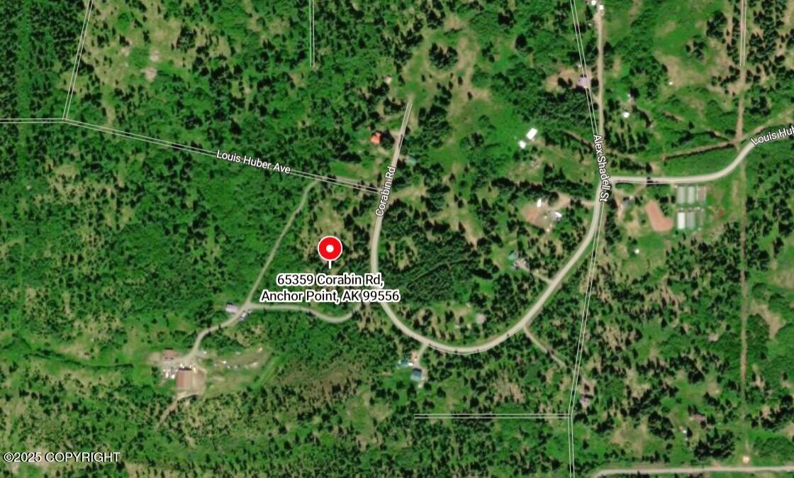65359 Corabin Road, Anchor Point, Alaska image 4