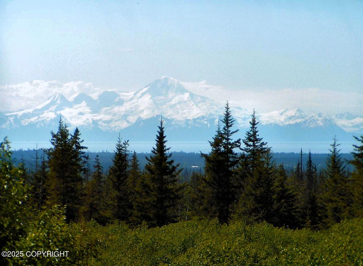 65359 Corabin Road, Anchor Point, Alaska image 1