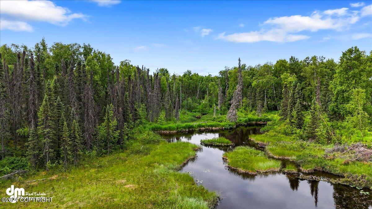 Unit 91 Baldy Lake Airpark Trail, Talkeetna, Alaska image 17