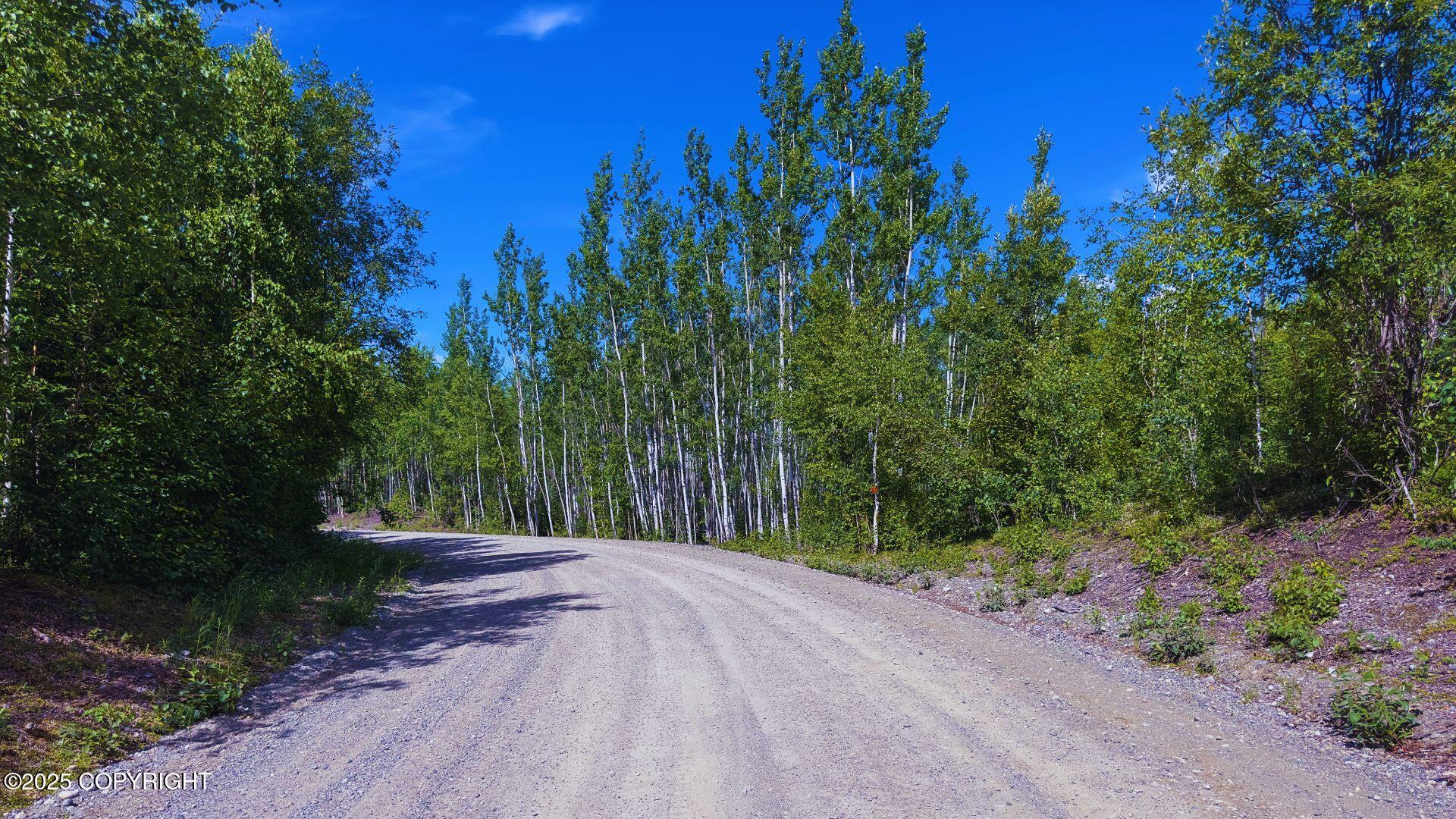 464 S Old Toby Road, Wasilla, Alaska image 4