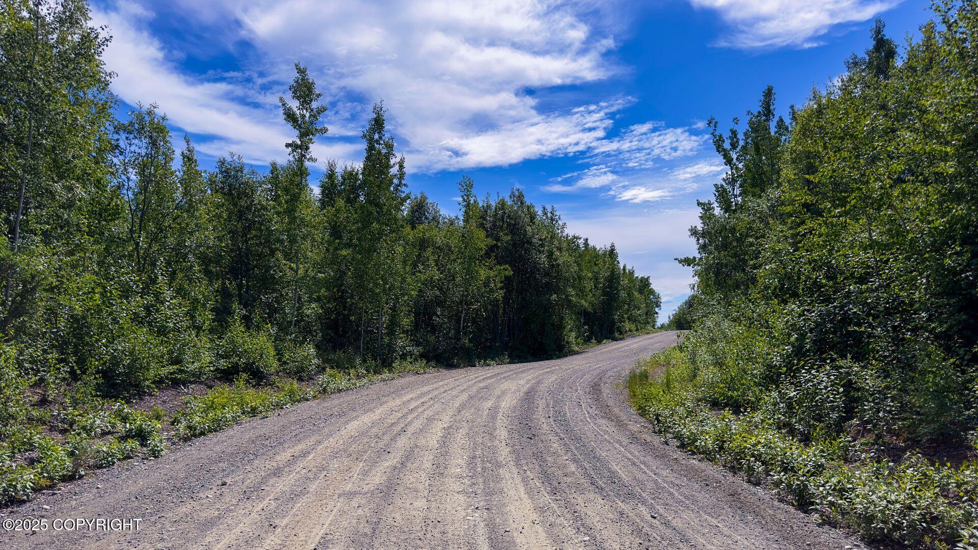 464 S Old Toby Road, Wasilla, Alaska image 3