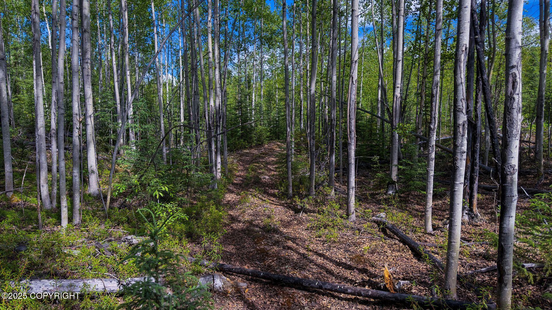 464 S Old Toby Road, Wasilla, Alaska image 5