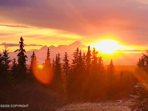Photo of 64427 Trail Road, Anchor Point, AK 99556 (MLS # 26-4893)