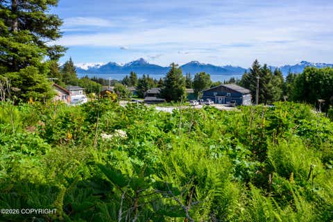 Vacant Land For Sale - 167 E Danview Avenue<br/> Homer, AK 99603