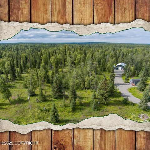 Vacant Land For Sale - 17215 Lunchbox Drive<br/> Ninilchik, AK 99639