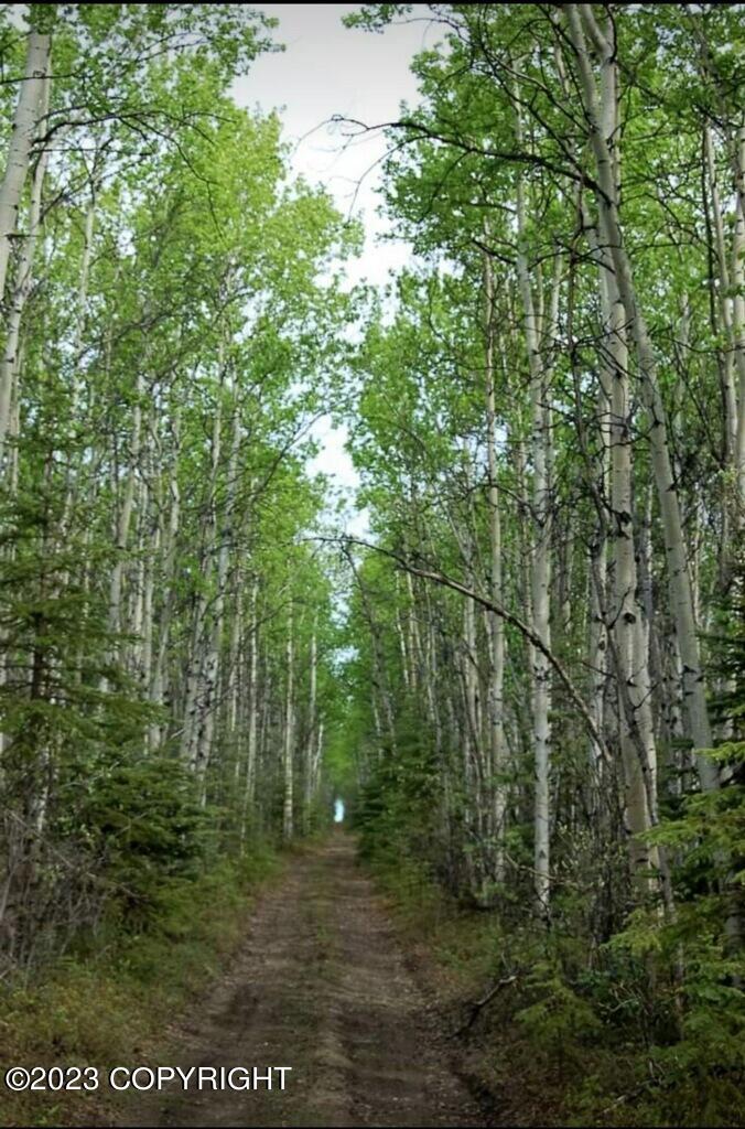 0000 No Road (near Rexana Rd), Clear, Alaska image 1