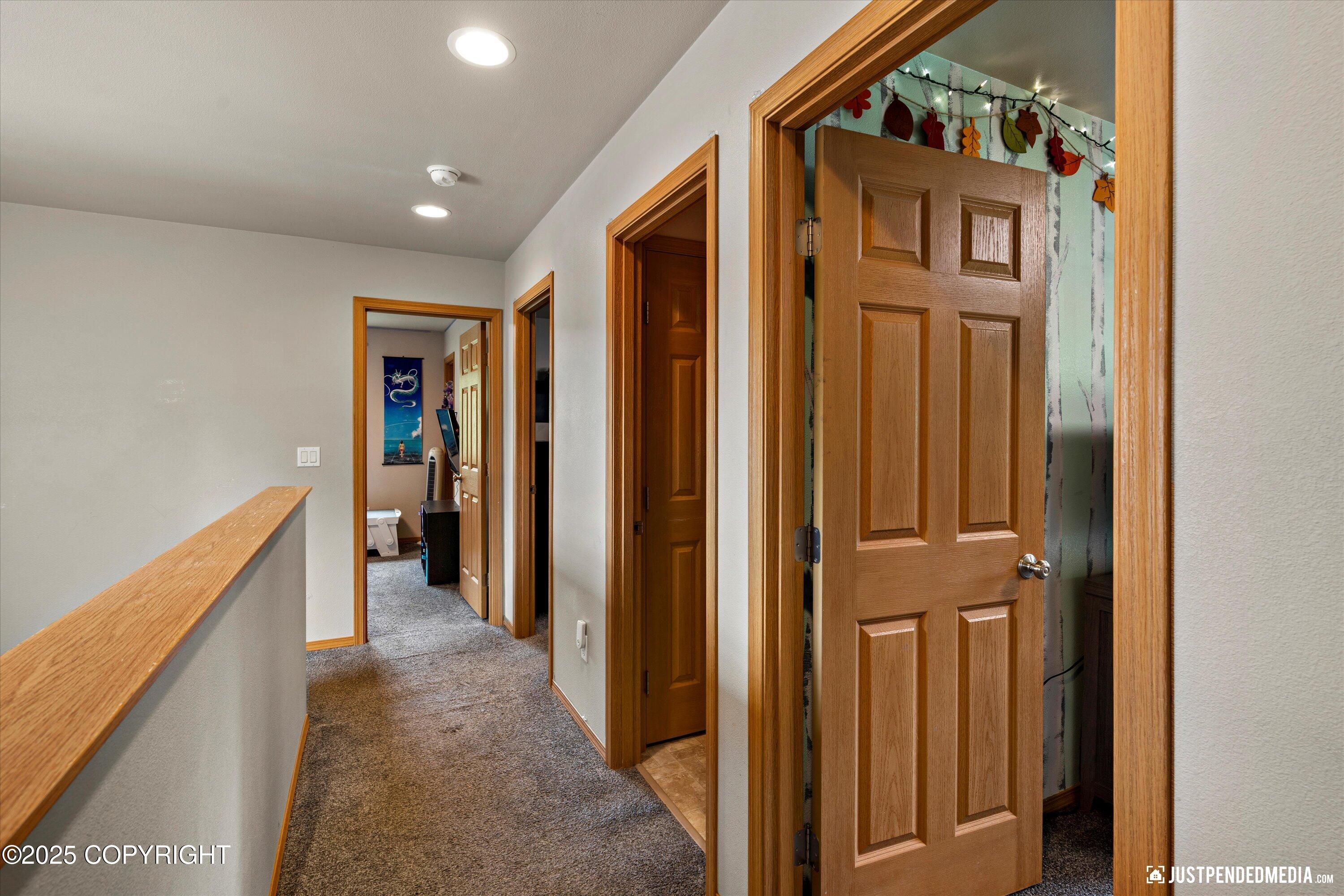 1061 E Mulchatna Drive, Wasilla, Alaska image 19