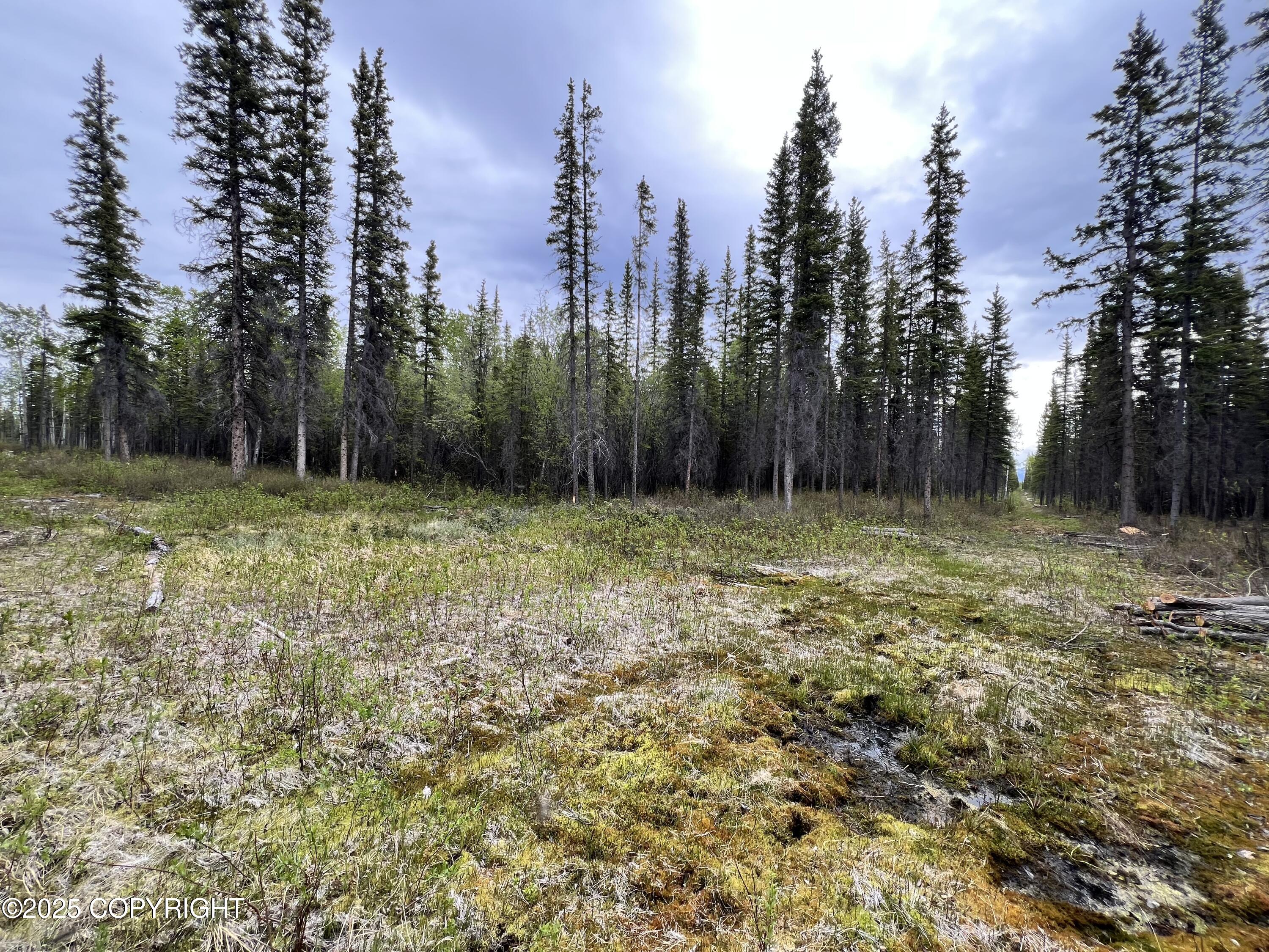 ASLS 79-251, Glennallen, Alaska image 2