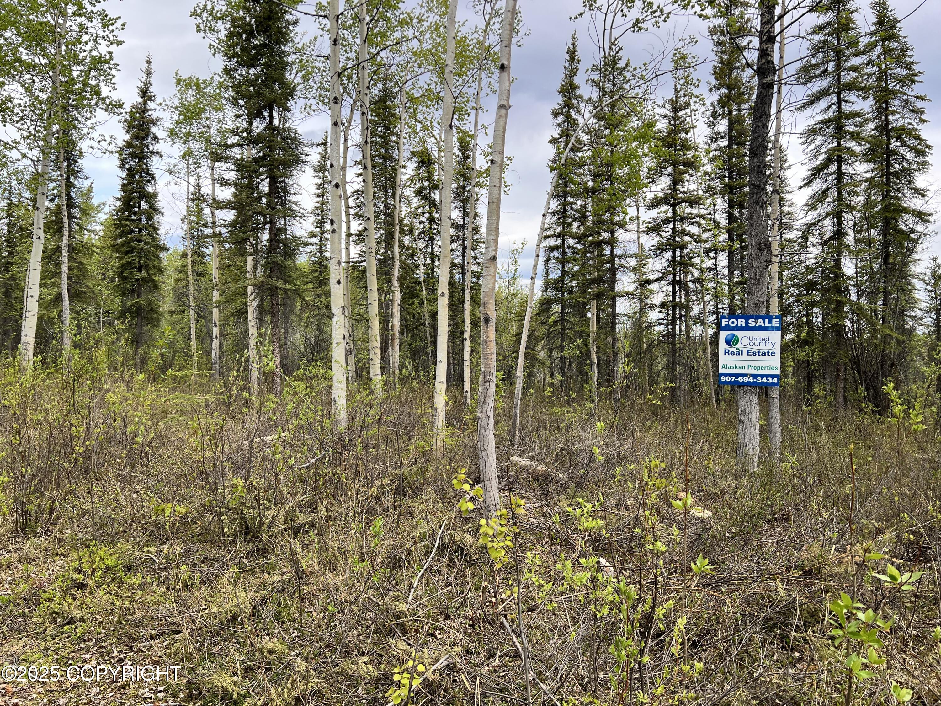 ASLS 79-251, Glennallen, Alaska image 1