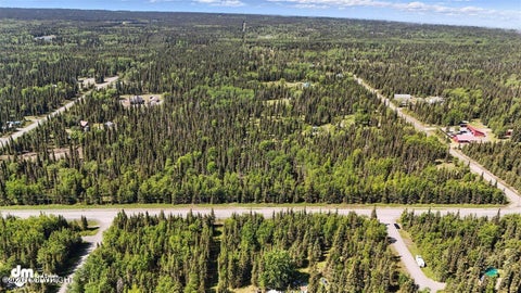 Vacant Land For Sale - 28214 N Cohoe Loop Road<br/> Kasilof, AK 99610