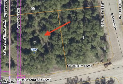 Photo of 2451 E Ridgeview Drive, Wasilla, AK 99654 (MLS # 26-4138)