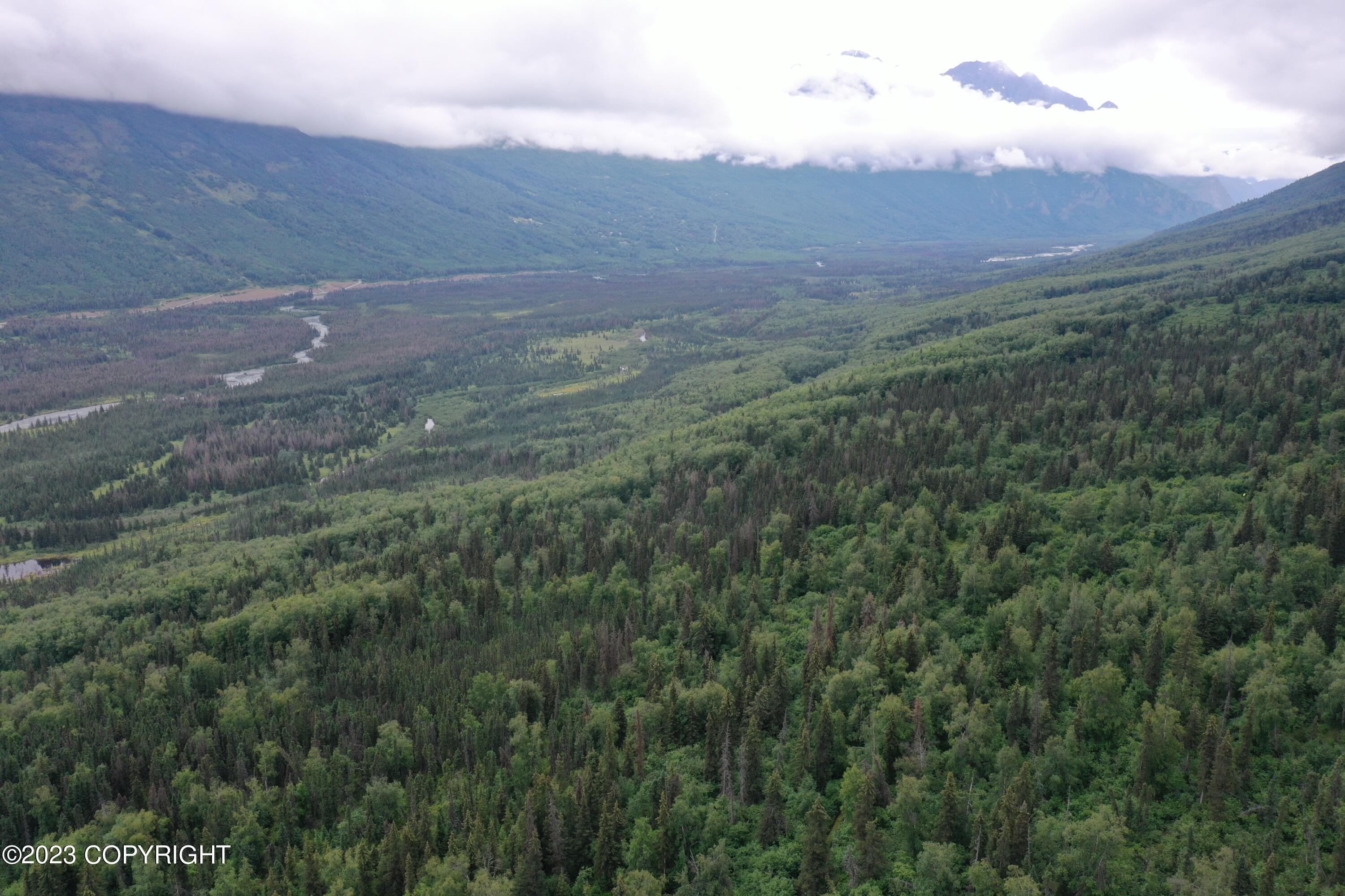 002 No Road, Eagle River, Alaska image 11