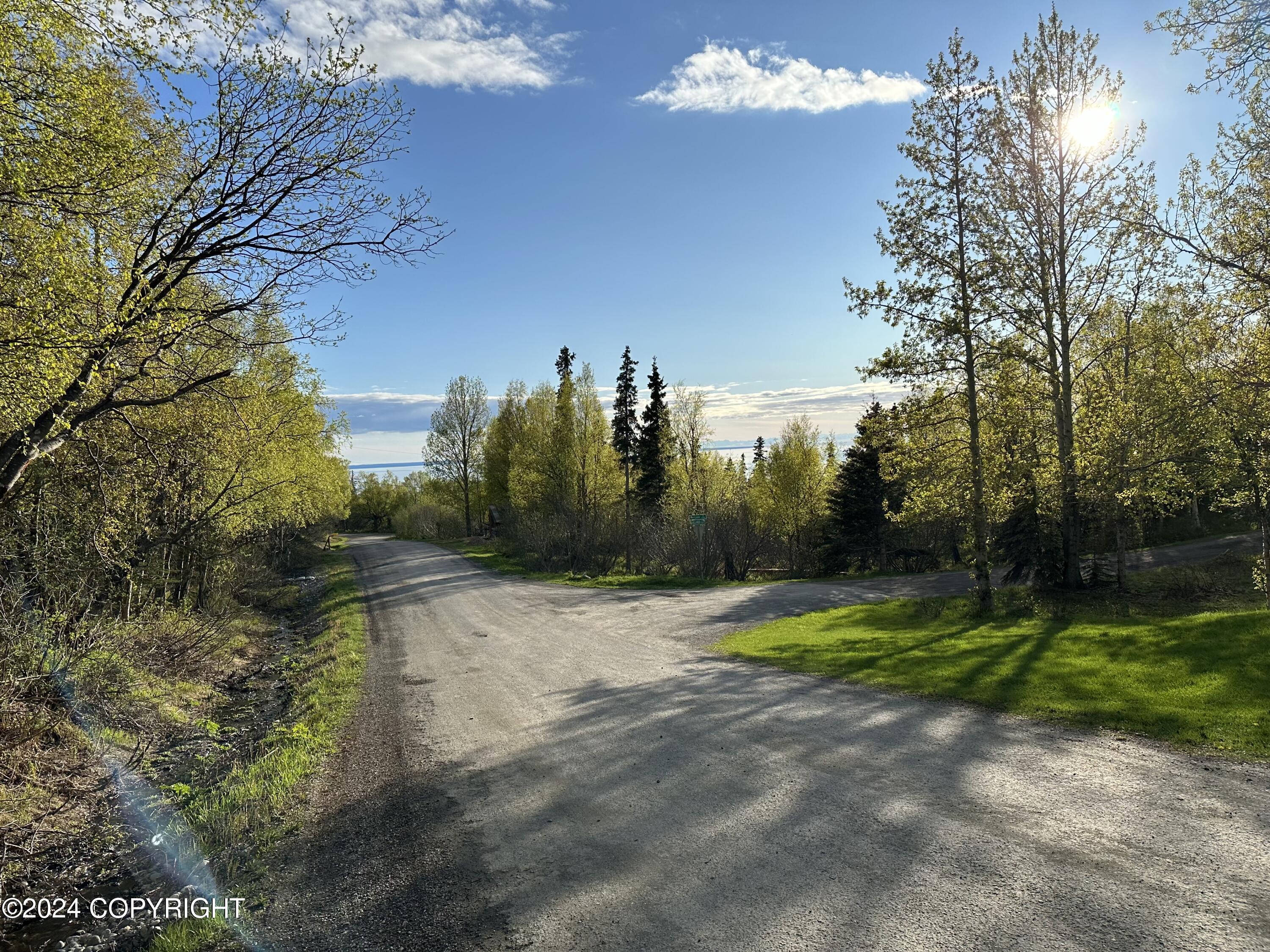 L4 B3 Kallander Avenue, Anchorage, Alaska image 3