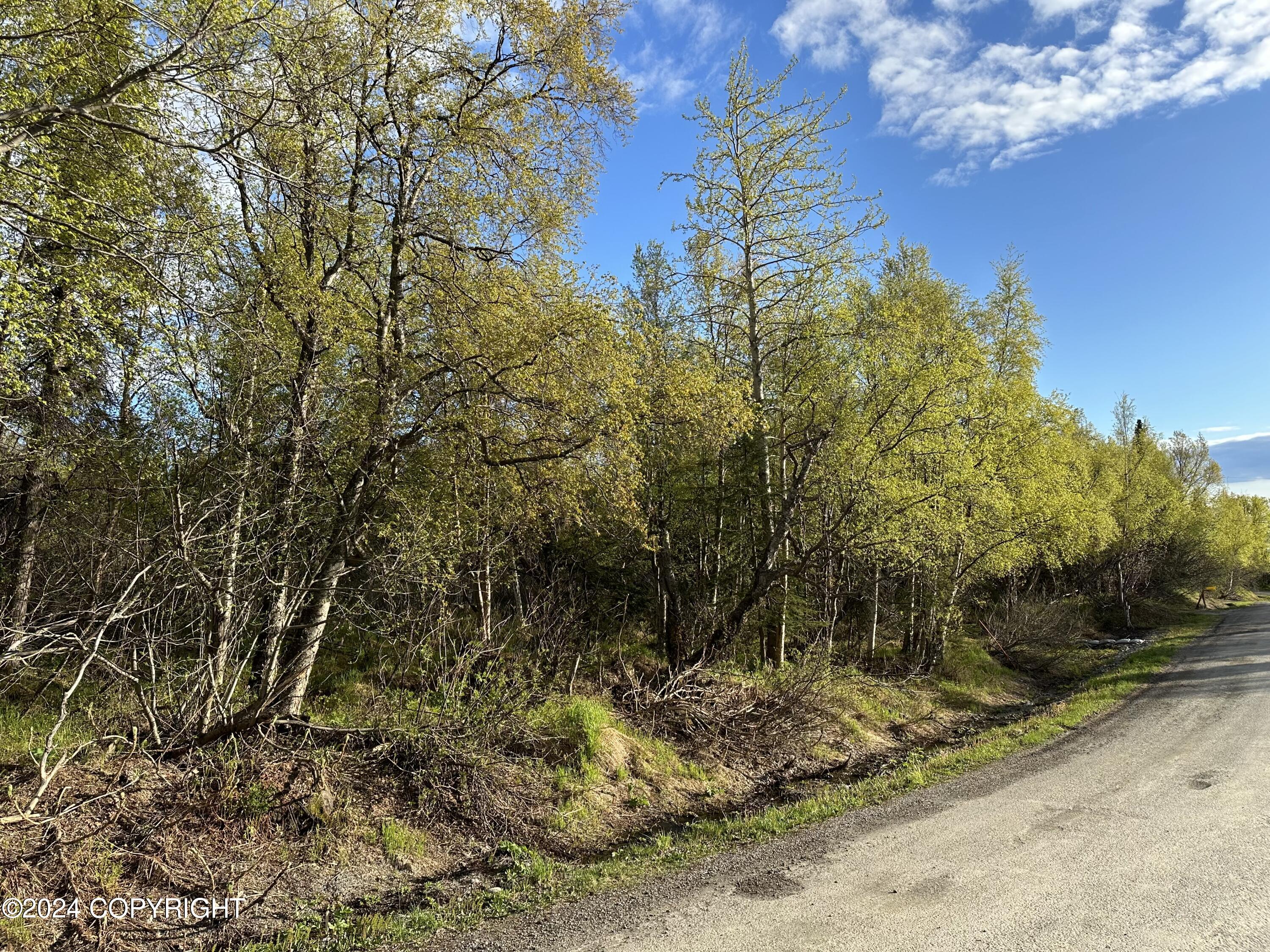 L4 B3 Kallander Avenue, Anchorage, Alaska image 2