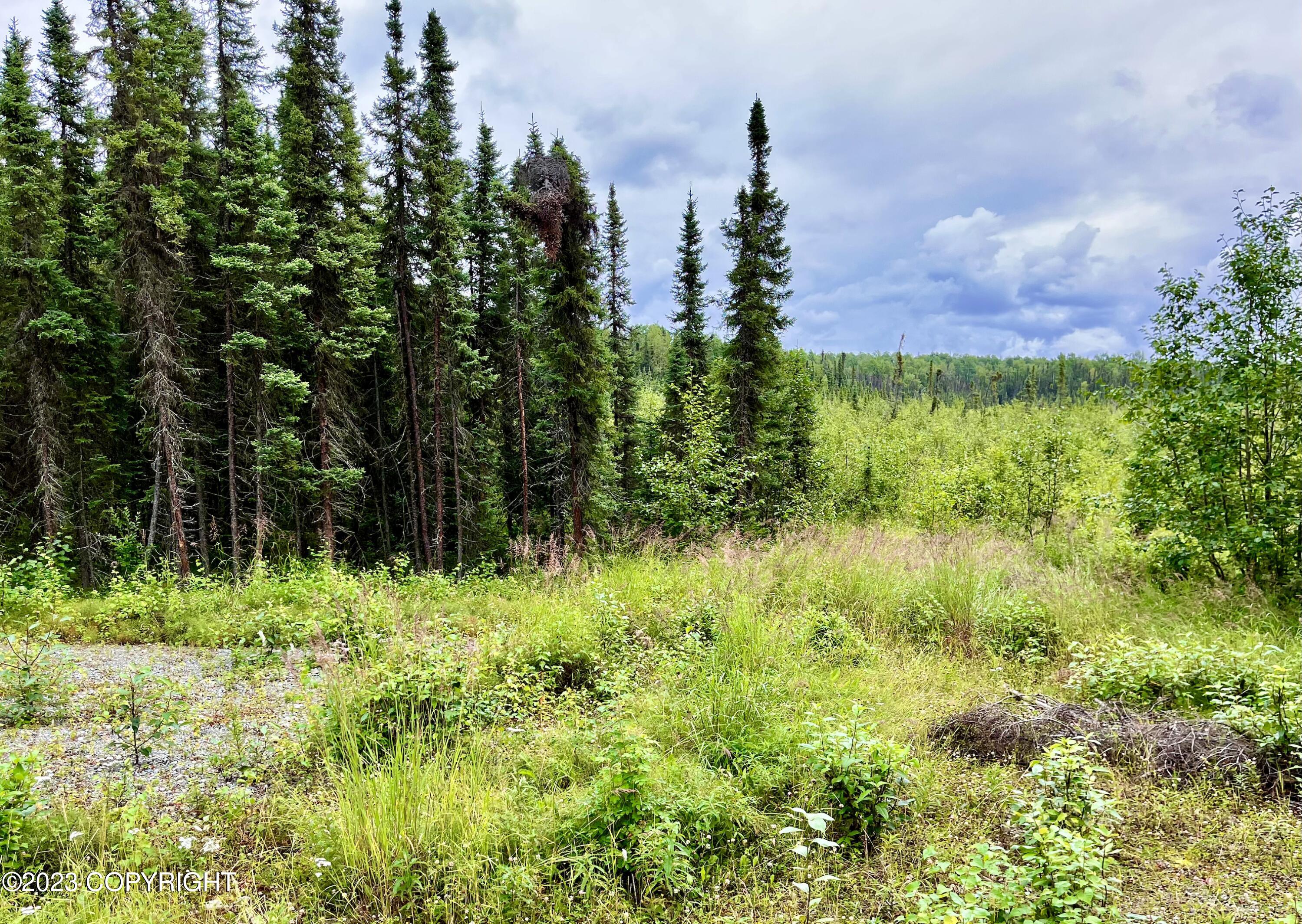 10880 W Cannon Drive, Big Lake, Alaska image 10