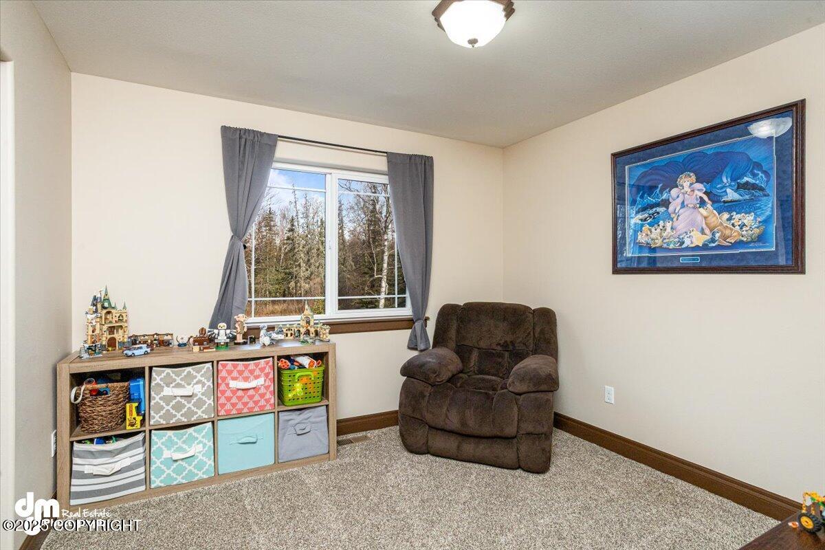 7996 E Sterling Circle, Palmer, Alaska image 37