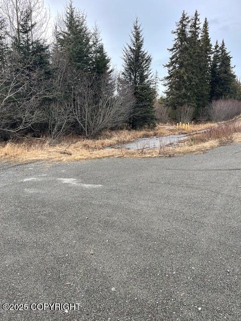 33045 S Sterling Highway, Anchor Point, Alaska image 1