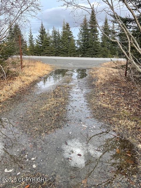 33045 S Sterling Highway, Anchor Point, Alaska image 4