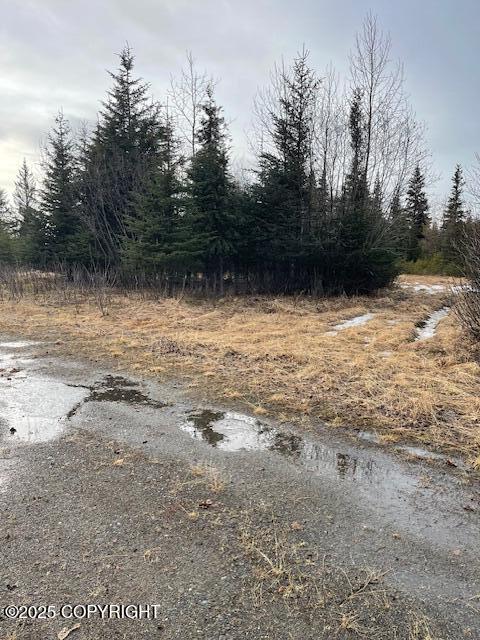 33045 S Sterling Highway, Anchor Point, Alaska image 3