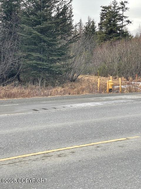 33045 S Sterling Highway, Anchor Point, Alaska image 5