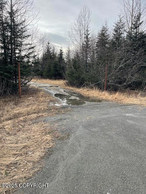 33045 S Sterling Highway, Anchor Point, Alaska image 2