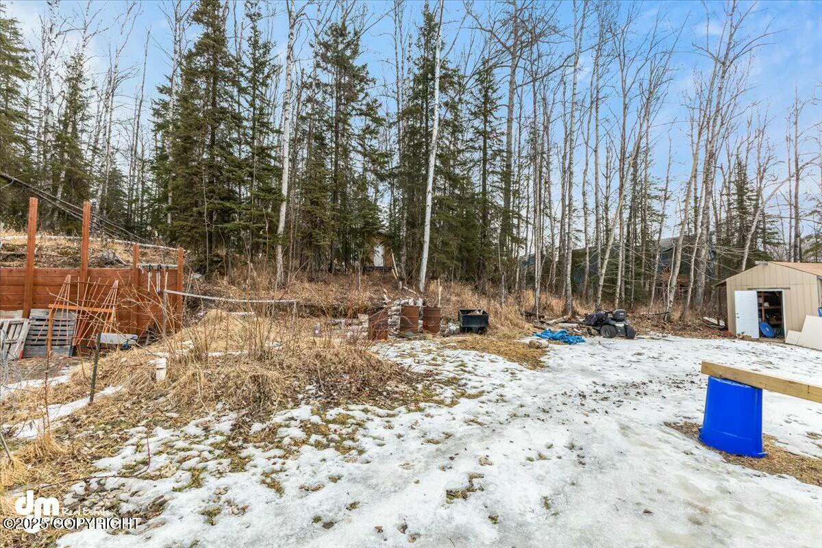 4051 S Eagle Bay Drive, Wasilla, Alaska image 39