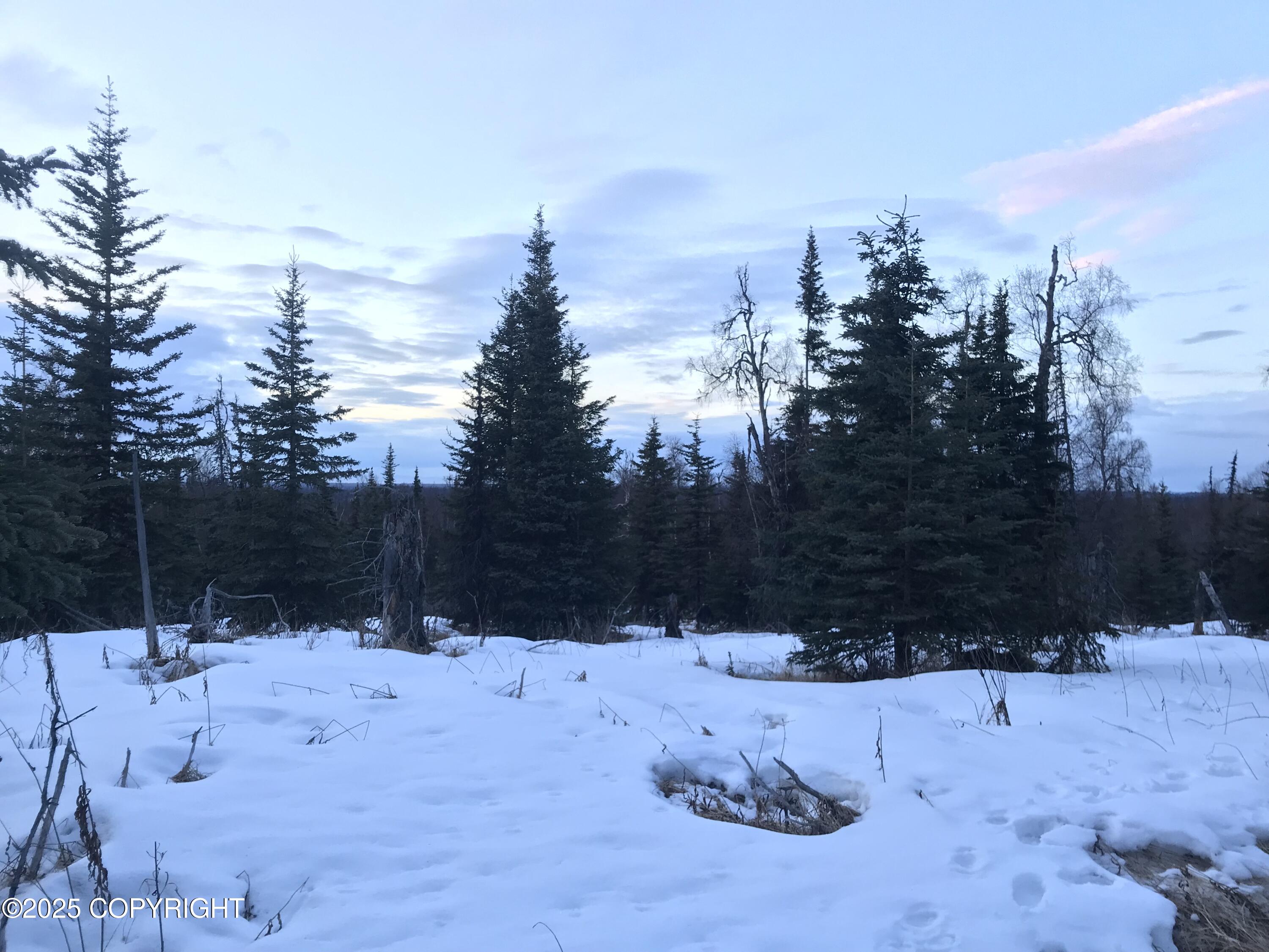 14235 Caribou Hills Rem, Ninilchik, Alaska image 9