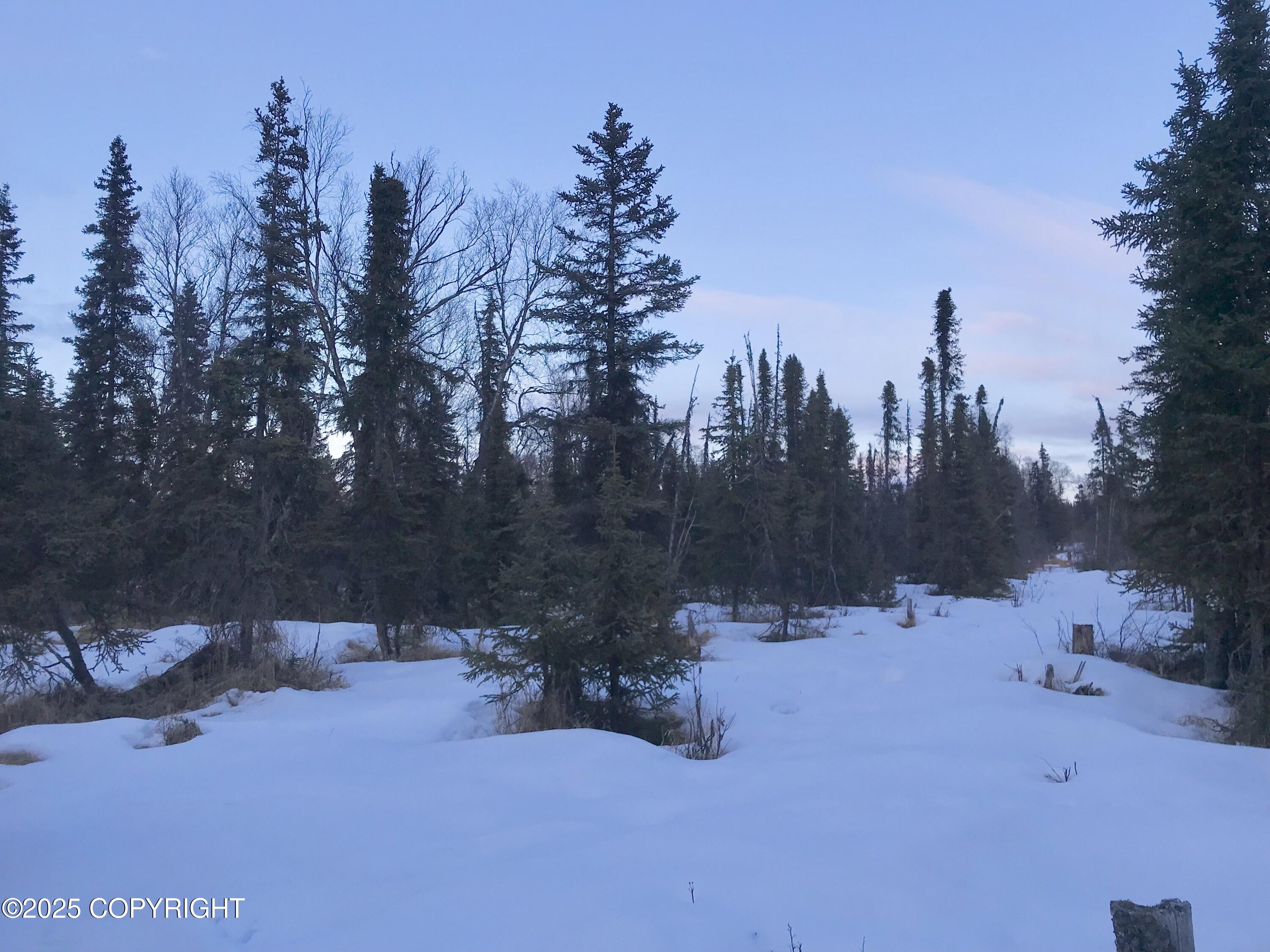 14235 Caribou Hills Rem, Ninilchik, Alaska image 10