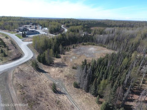 Vacant Land For Sale - 503 Lori Way<br/> Soldotna, AK 99669