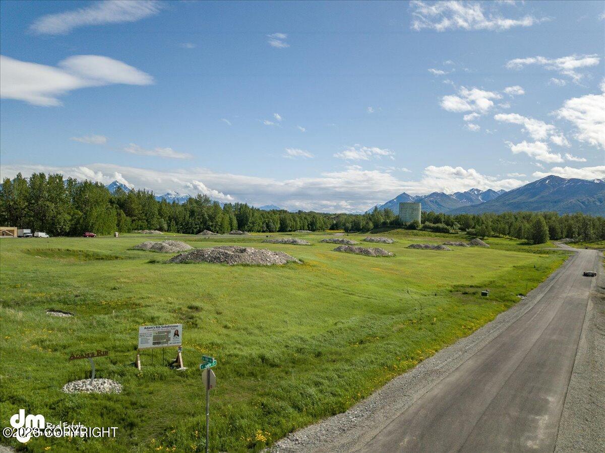 11798 E Fig Circle, Palmer, Alaska image 23