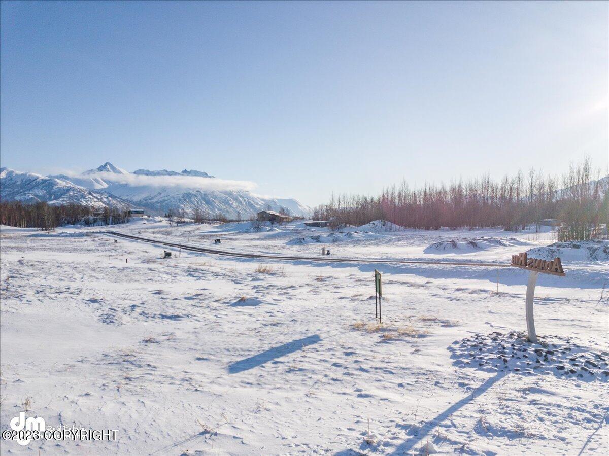 11798 E Fig Circle, Palmer, Alaska image 32