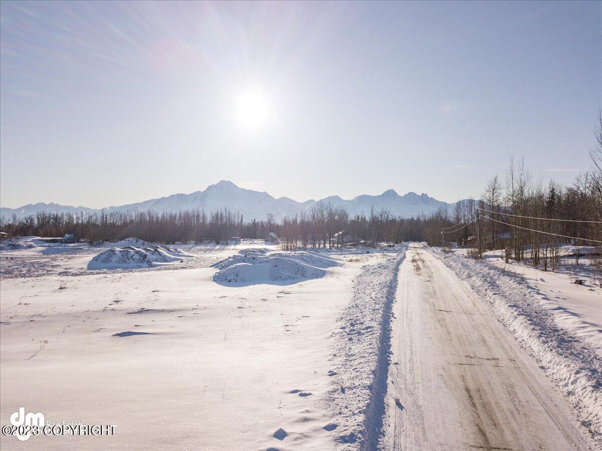 11798 E Fig Circle, Palmer, Alaska image 47