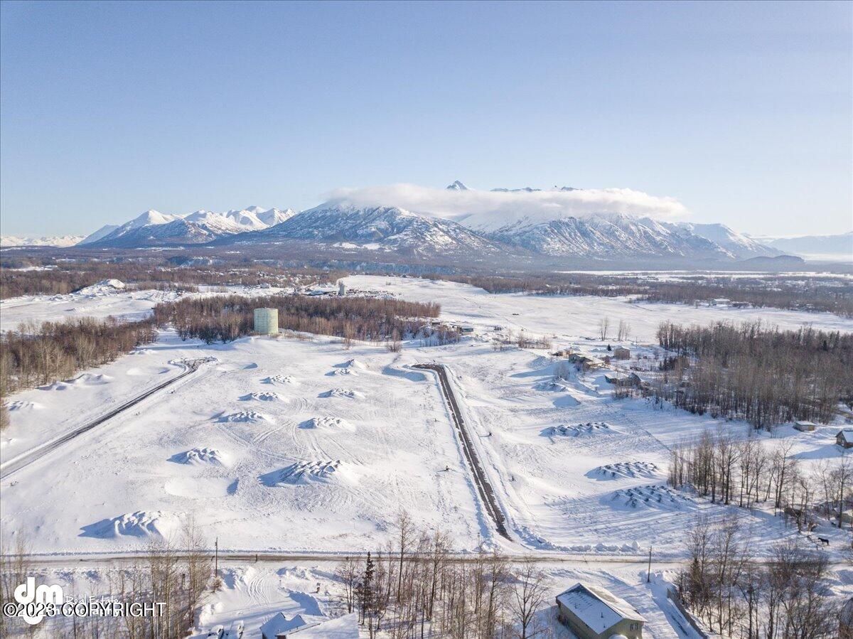 11798 E Fig Circle, Palmer, Alaska image 27