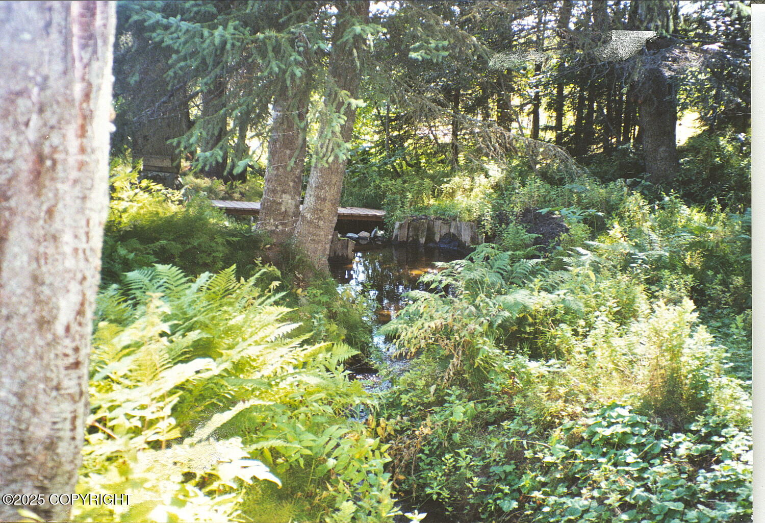 4075 Mattox Road, Homer, Alaska image 24