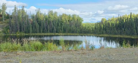 Vacant Land For Sale - 3994 S Arrowhead Street<br/> Big Lake, AK 99652