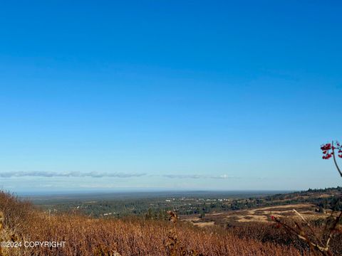 Vacant Land For Sale - 34113 Bluegrass Street<br/> Anchor Point, AK 99556