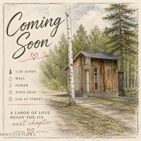 Photo of 781 N Tammy Lane, Wasilla, AK 99623 (MLS # 26-8679)