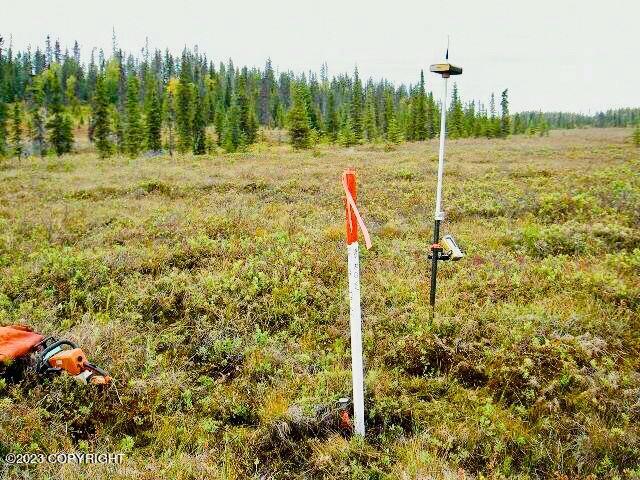 69840 W Haven Avenue, Anchor Point, Alaska image 5