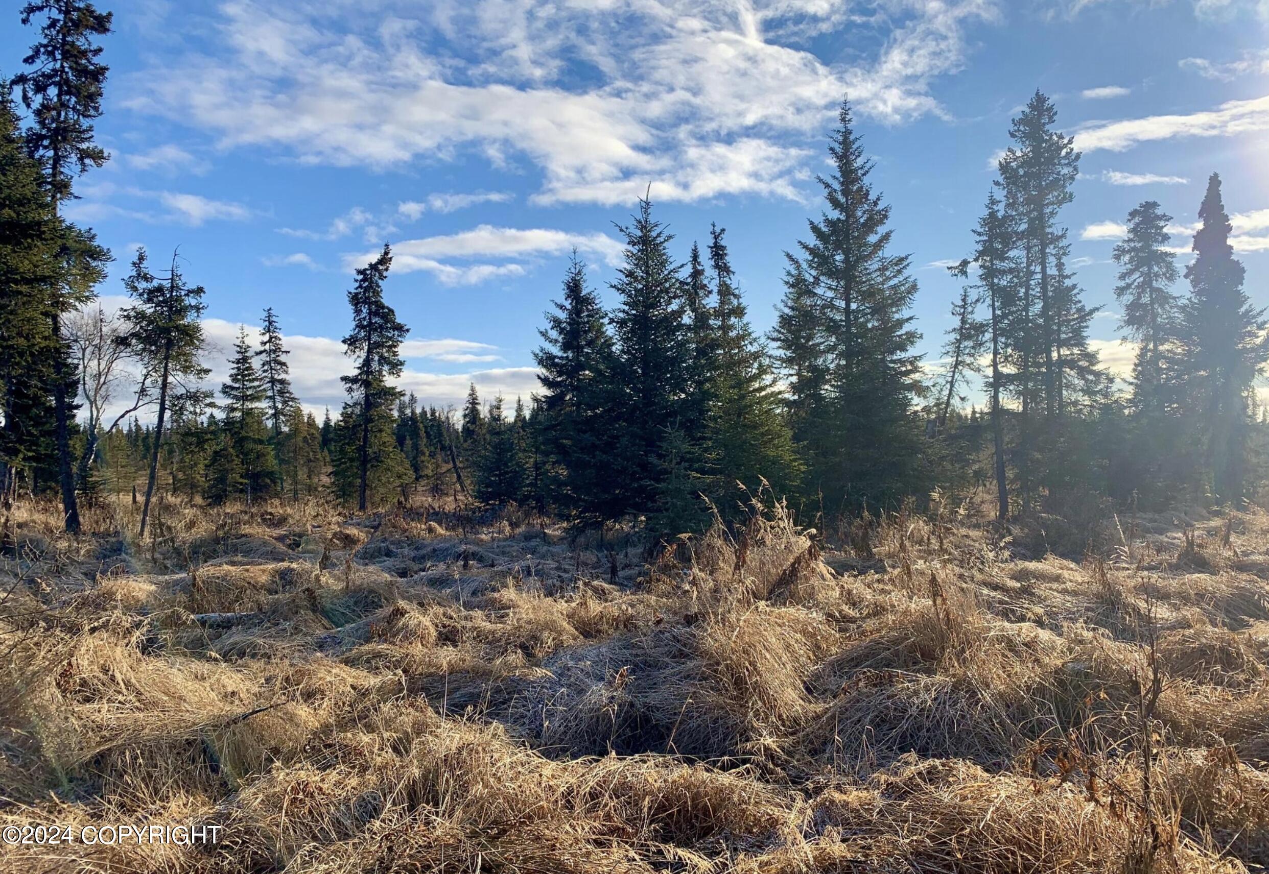 69840 W Haven Avenue, Anchor Point, Alaska image 3